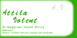 attila volent business card